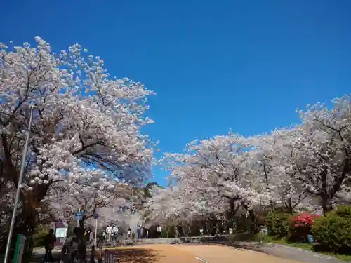 光雲神社の自然