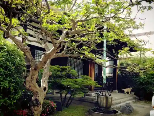 安阿彌寺（安阿弥寺）のその他建物