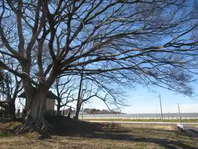 神明神社(千葉県)