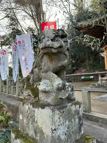 高尾山麓氷川神社の狛犬