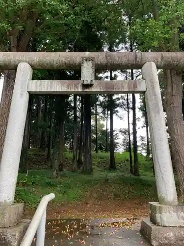 日枝大神の鳥居