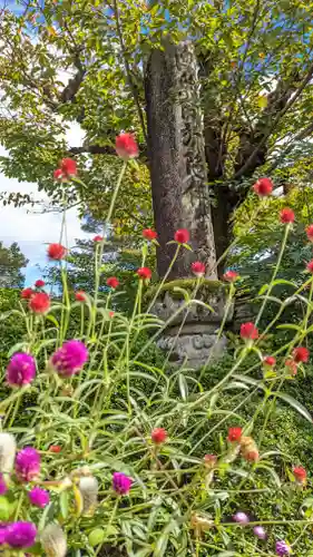 證安院(京都府)