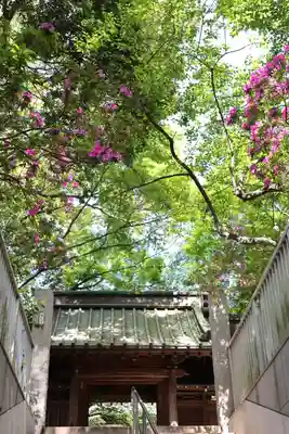 龍光寺(東京都)