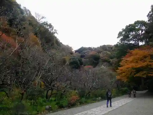 瑞泉寺の庭園