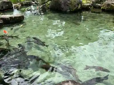 甲斐善光寺(山梨県)