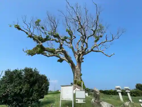大木神社跡地(三重県)