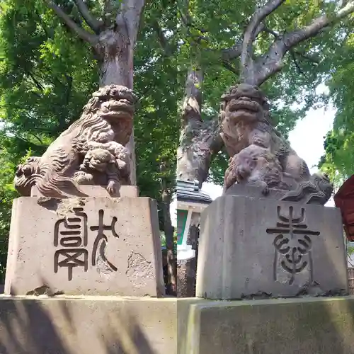 田無神社の狛犬