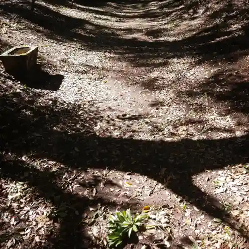 沼尾神社の自然