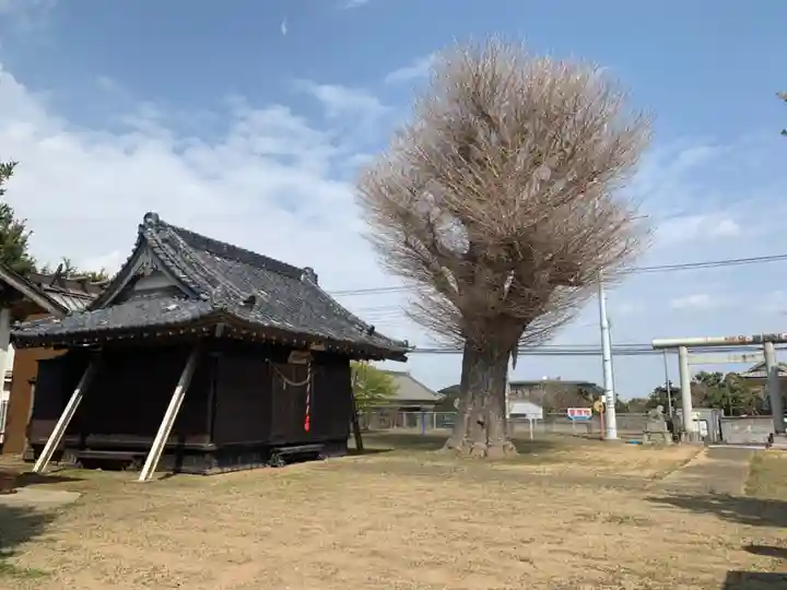 神明神社(千葉県)