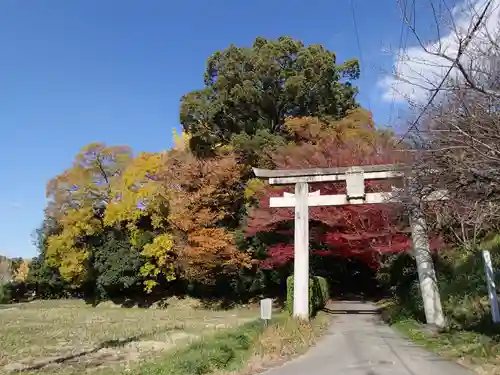 夜都伎神社の鳥居