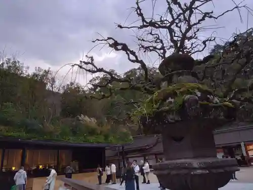 太宰府天満宮(福岡県)