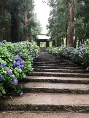 大中寺(栃木県)