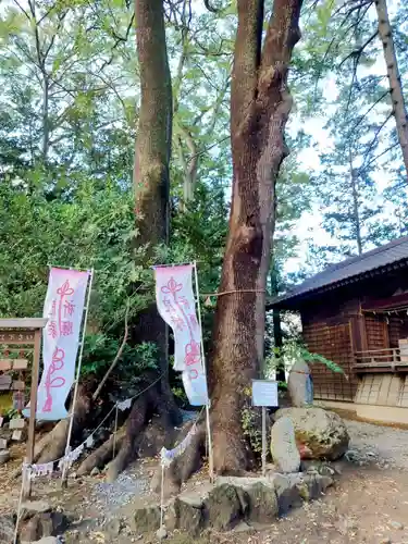 開運招福 飯玉神社(群馬県)