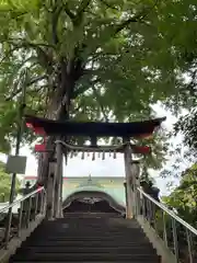 下総国三山　二宮神社の鳥居