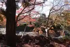 御蔭神社の自然