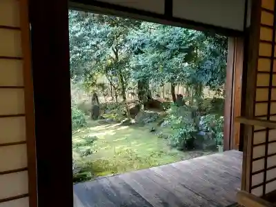 地蔵院の{uncategorized: "未分類", other: "その他", undefined: "問題あり", building: "その他建物", grave: "お墓", sacred_gate: "鳥居", guardian: "狛犬", statue: "像", buddha: "仏像", history: "歴史", nature: "自然", garden: "庭園", animal: "動物", pagoda: "塔", temizu: "手水舎", mountain_gate: "山門・神門", sanctuary: "本殿・本堂", subordinate: "末社・摂社", art: "芸術", scenery: "景色", jizo: "地蔵", ema: "絵馬", goshuin: "御朱印", omikuji: "おみくじ", items: "授与品その他", amulet: "お守り", goshuincho: "御朱印帳", eats: "食事", festival: "お祭り", votive_dance: "神楽", shichigosan: "七五三参", wedding: "結婚式", experience: "体験その他", initially: "初詣", around: "周辺", anti_infection: "感染症対策"}