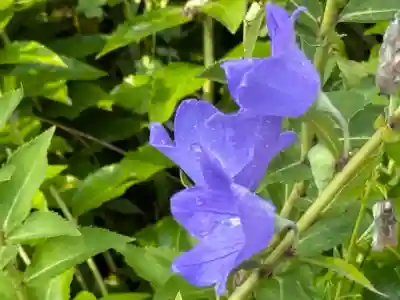 安楽寺(長野県)