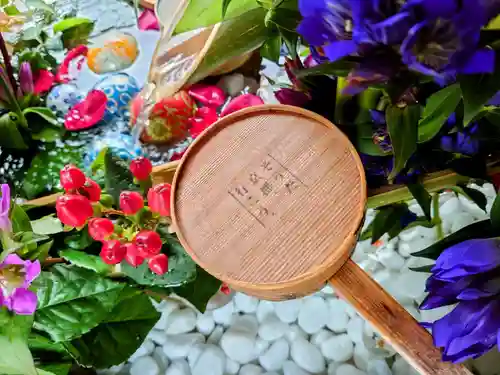 勝林寺(京都府)