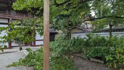 本法寺(京都府)