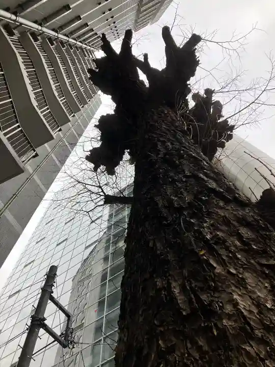 箒銀杏天満宮(東京都)