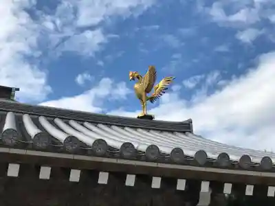 温泉山 安楽寺(四国霊場第六番札所)の狛犬