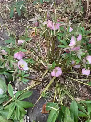 教善寺(神奈川県)