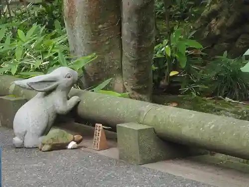 明月院(神奈川県)