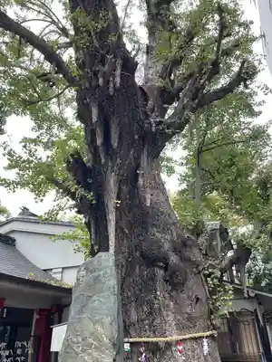 品川寺(東京都)