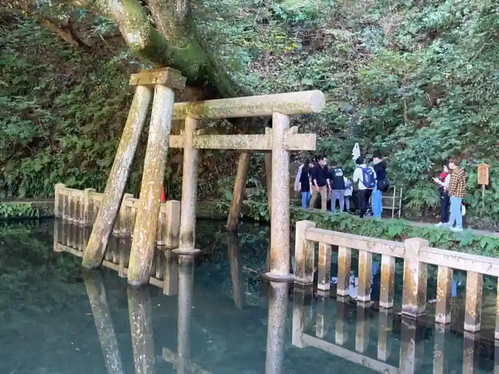 鹿島神宮(茨城県)