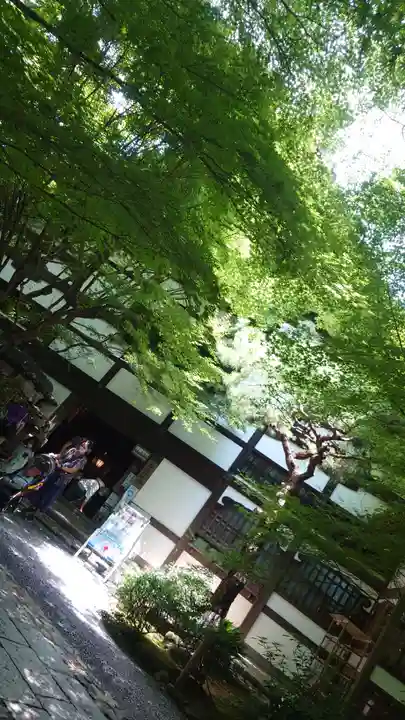 龍安寺(京都府)