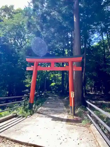 大麻比古神社の鳥居