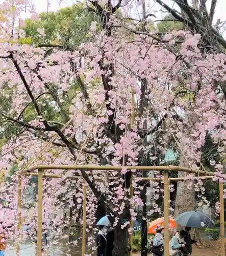 清水観音堂の庭園