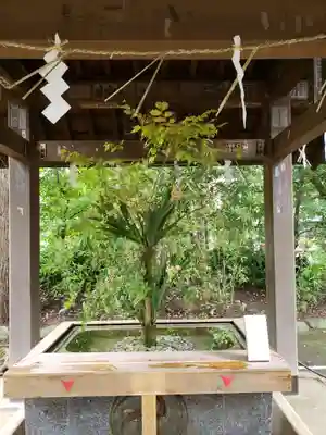 赤坂氷川神社(東京都)