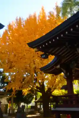 小金八坂神社(千葉県)