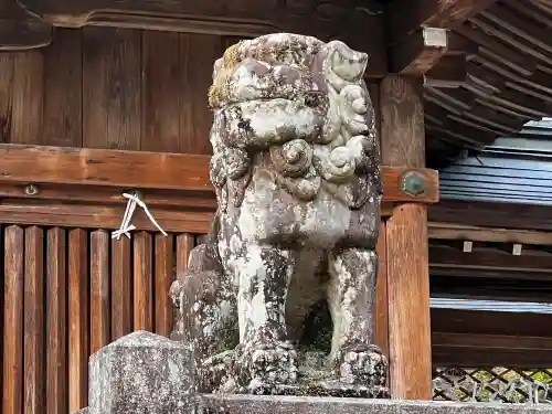 伊奈波神社の狛犬