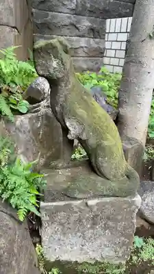 榎稲荷神社の狛犬