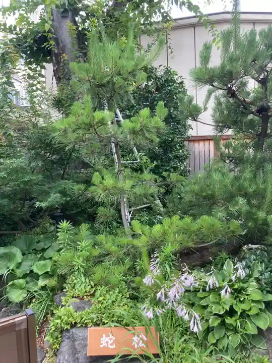 蛇窪神社(東京都)
