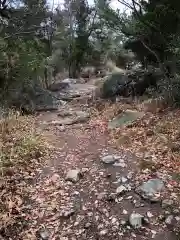 高屋神社の自然