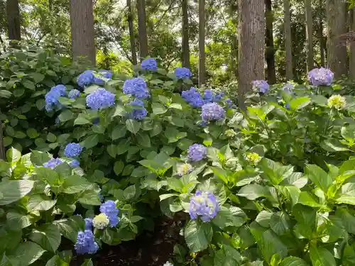日本寺(千葉県)