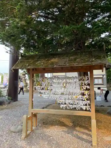 千歳神社のおみくじ