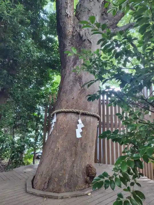 鎮守氷川神社の体験その他