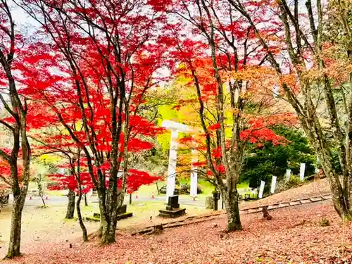 土津神社｜こどもと出世の神さまの景色