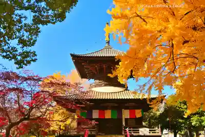 鑁阿寺(栃木県)