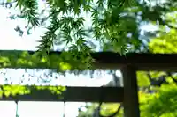 龍尾神社(静岡県)