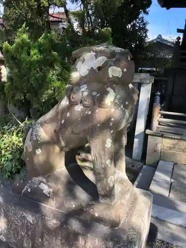 荒井神社の狛犬