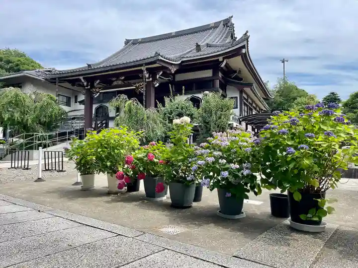 法蓮寺(東京都)