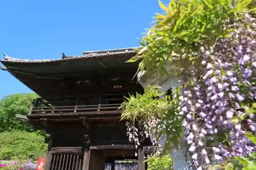 長泉寺の山門・神門