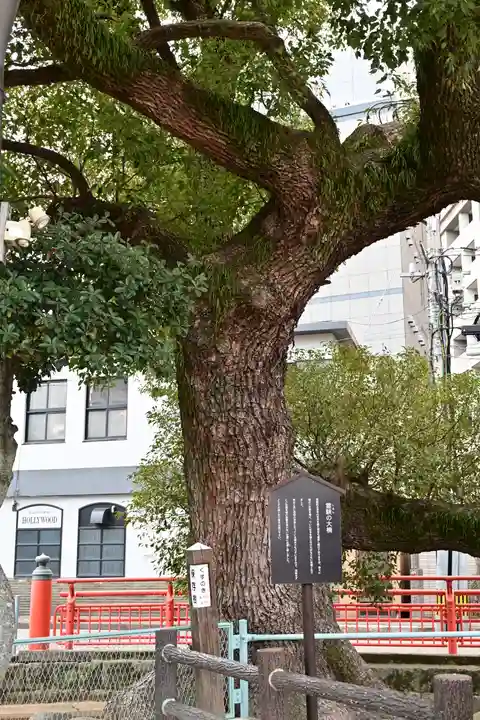住吉神社(福岡県)