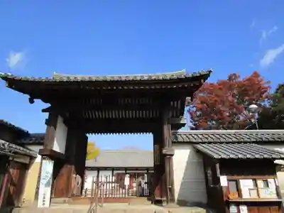 新薬師寺(奈良県)