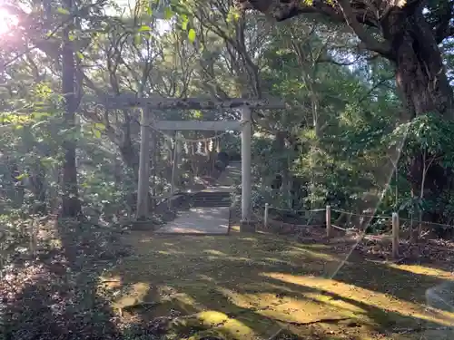 日吉神社の鳥居